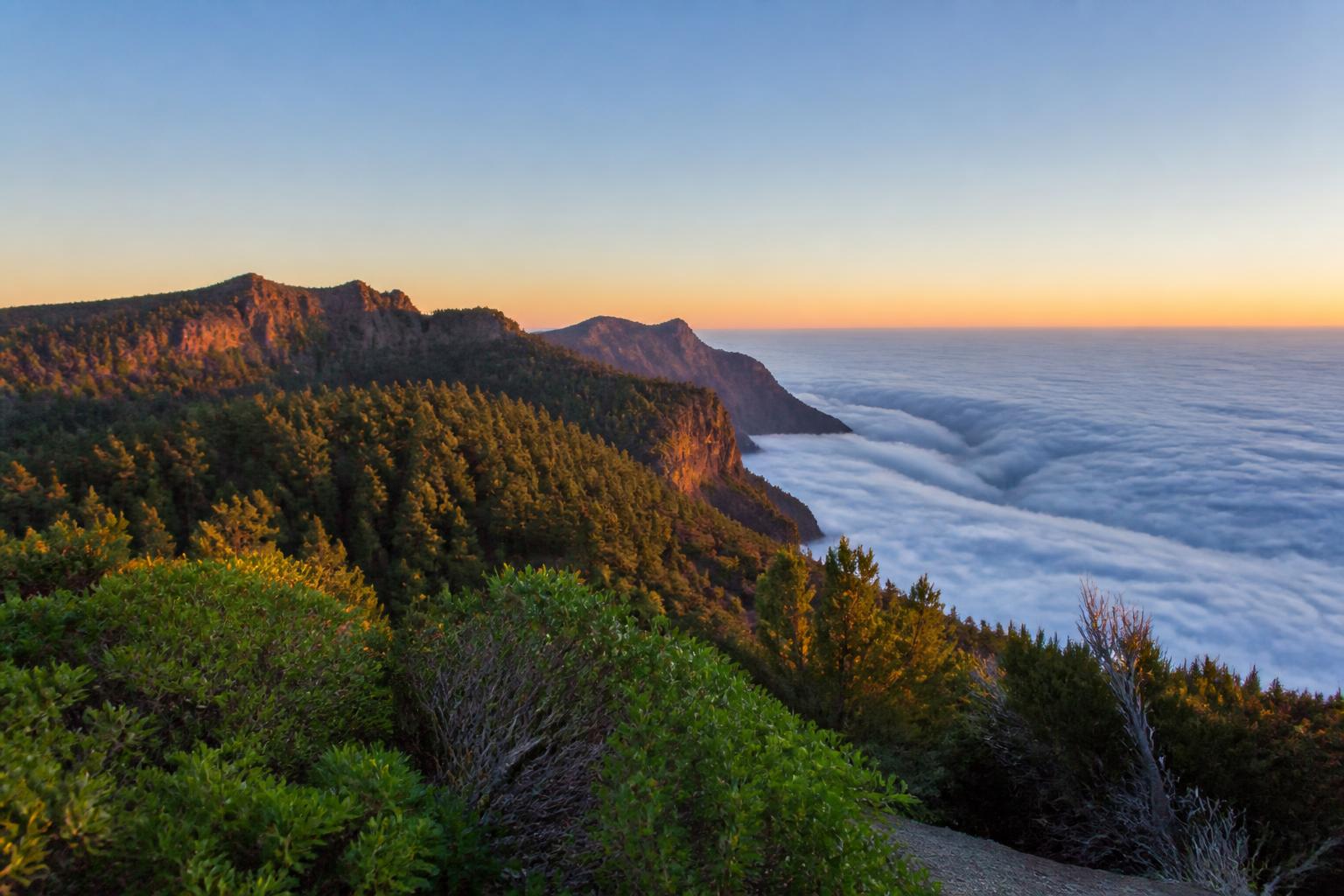 La Palma