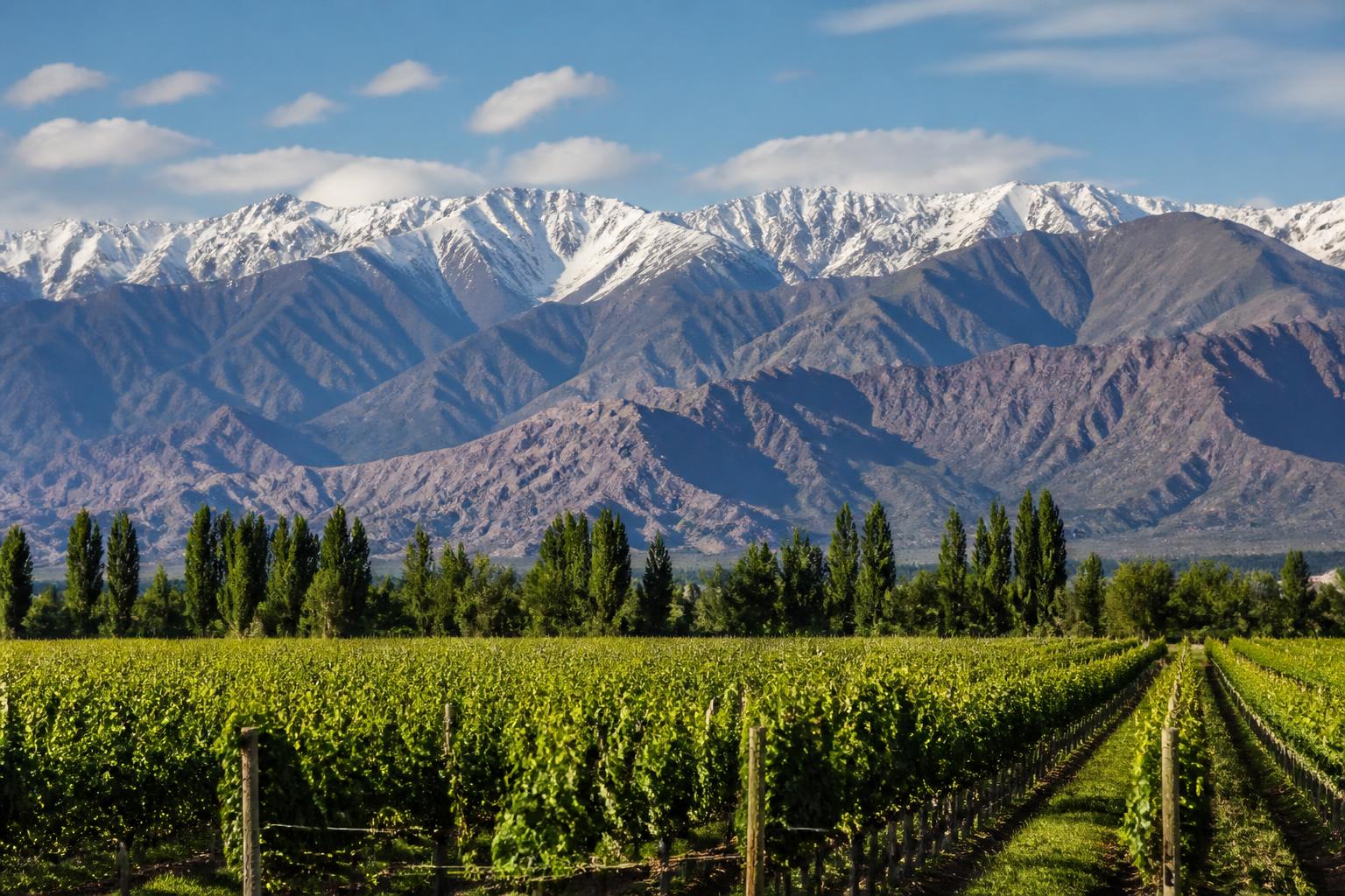 Mendoza
