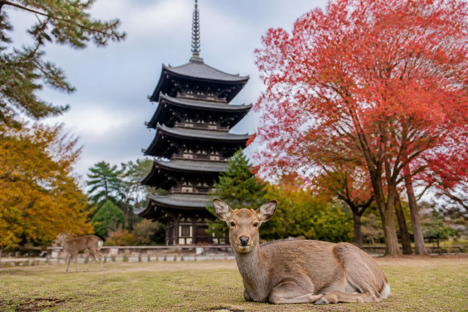 Nara