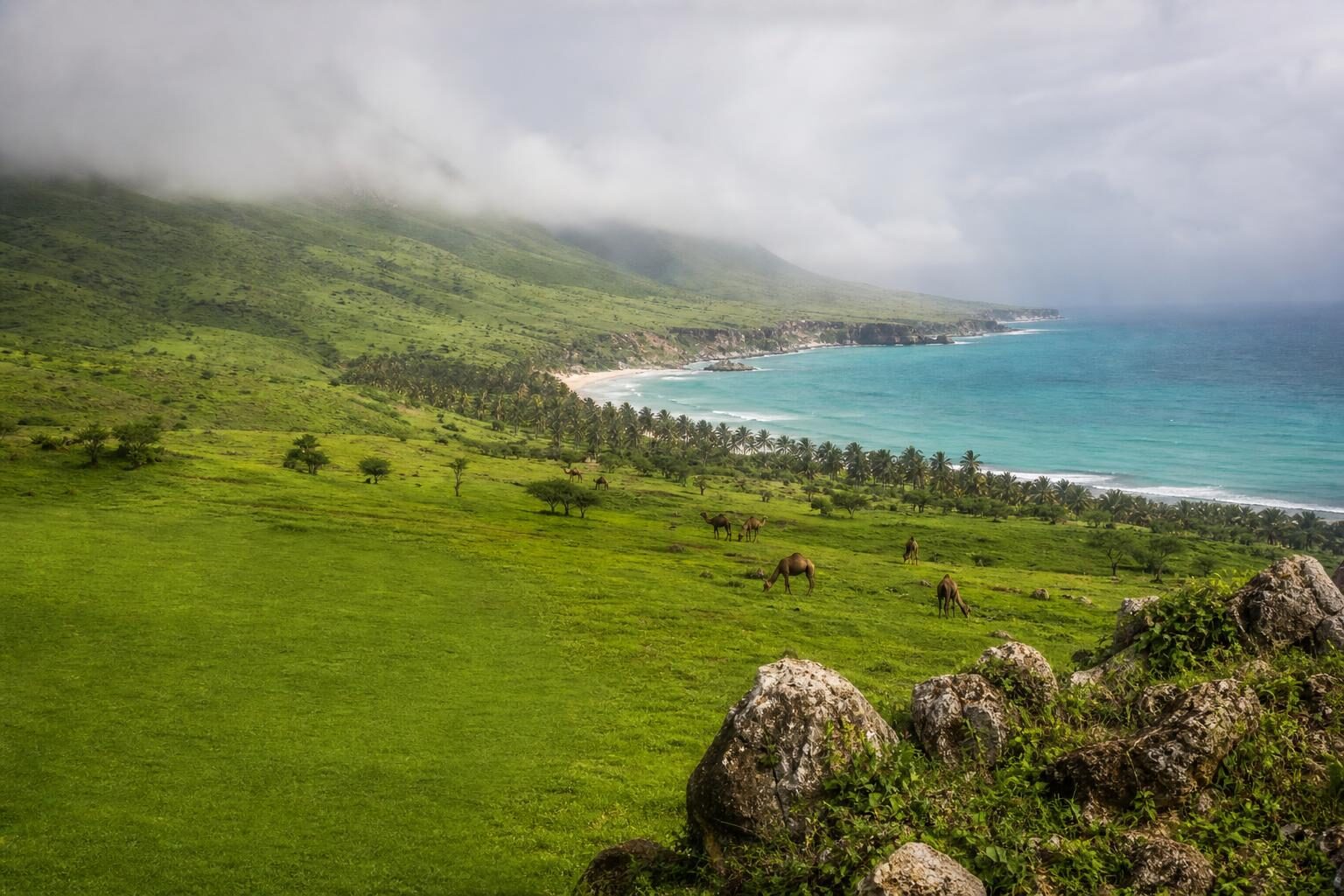 Salalah
