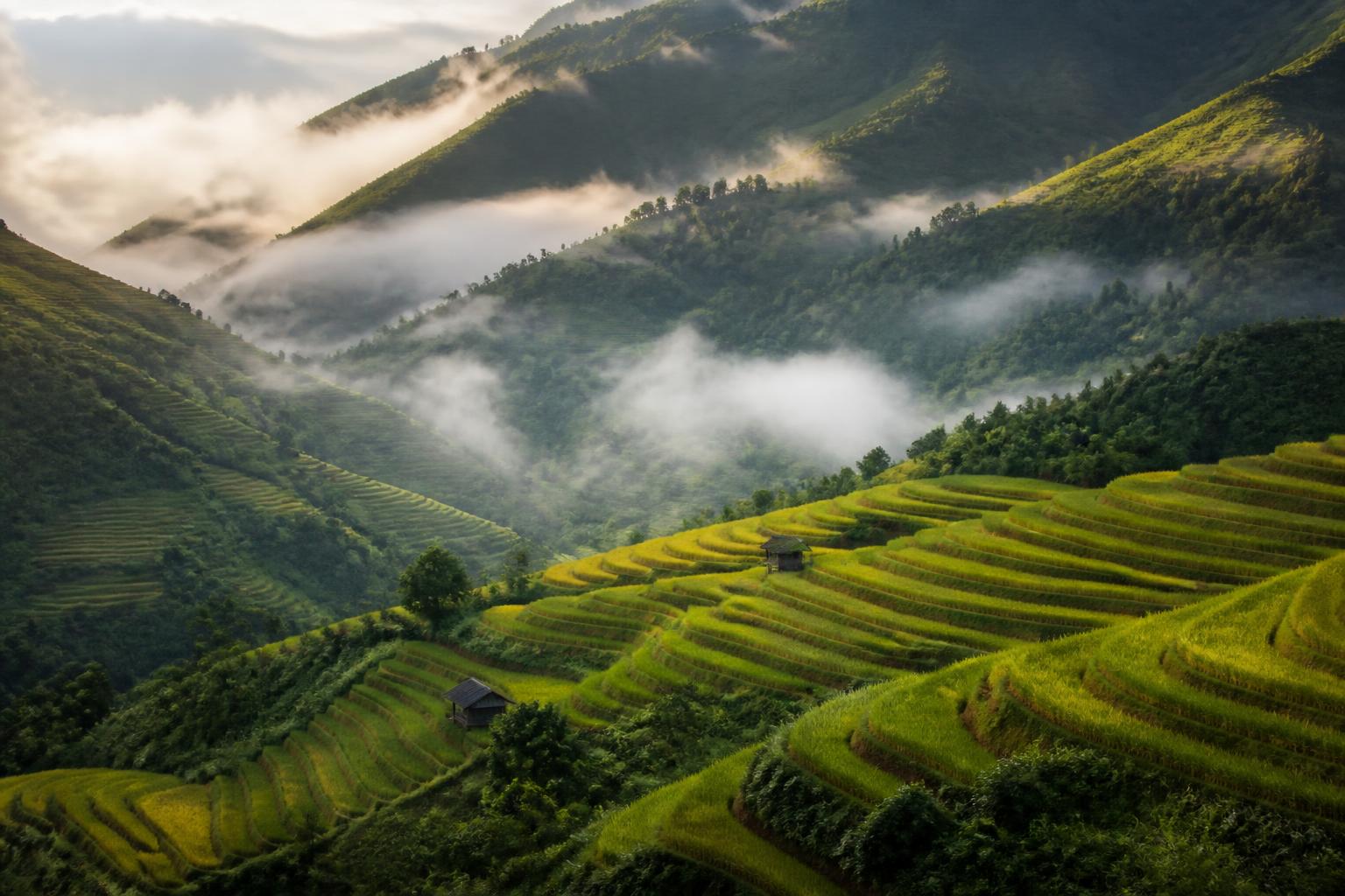 Sapa
