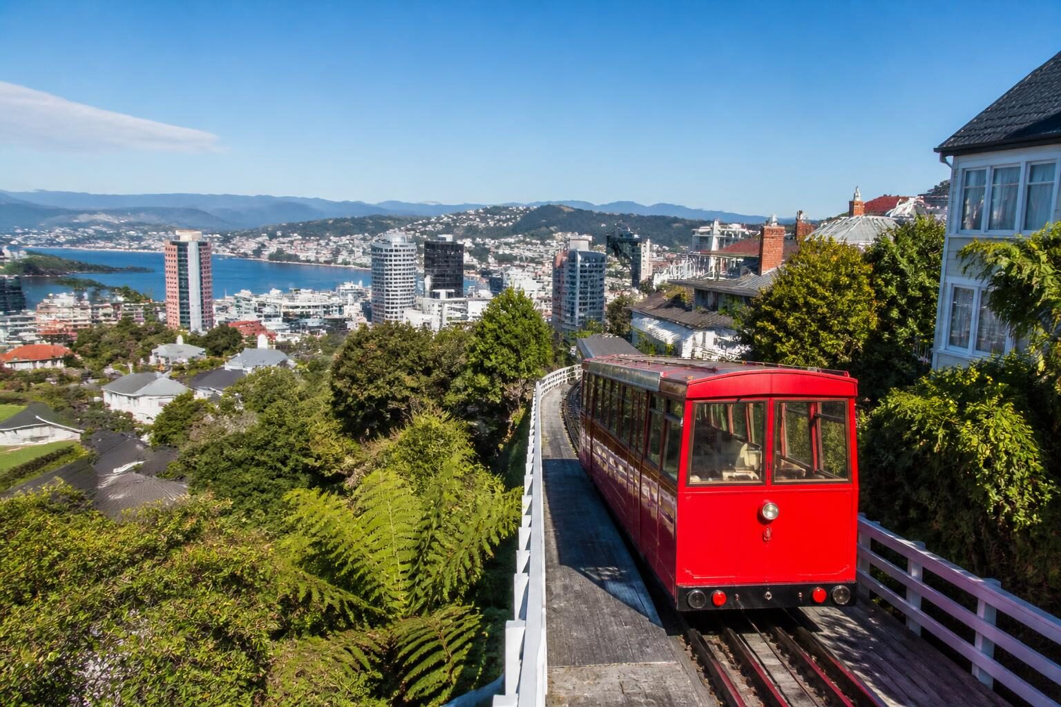Wellington